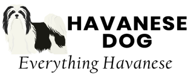 havanesedog_logo